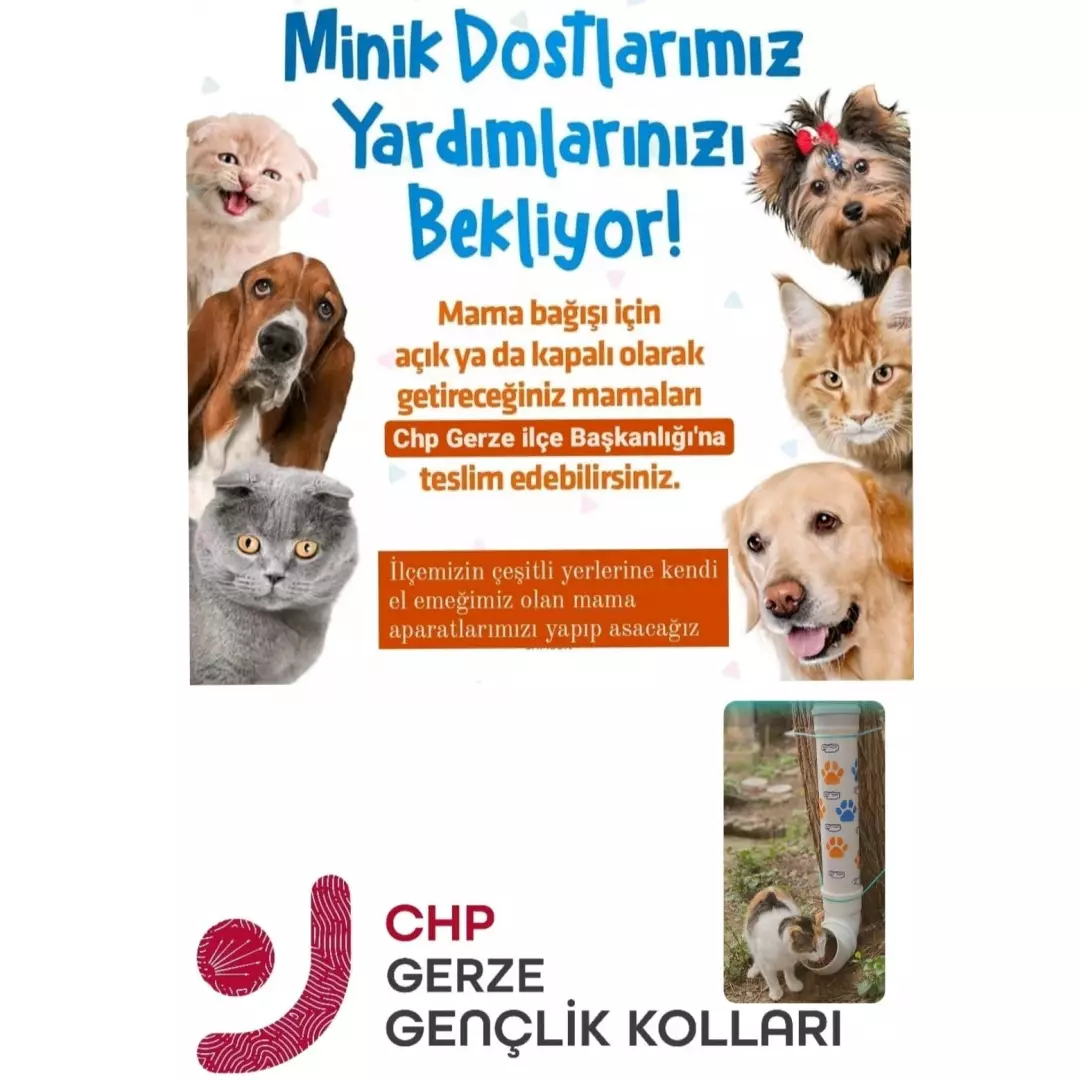 Chp Gerze Gençlik